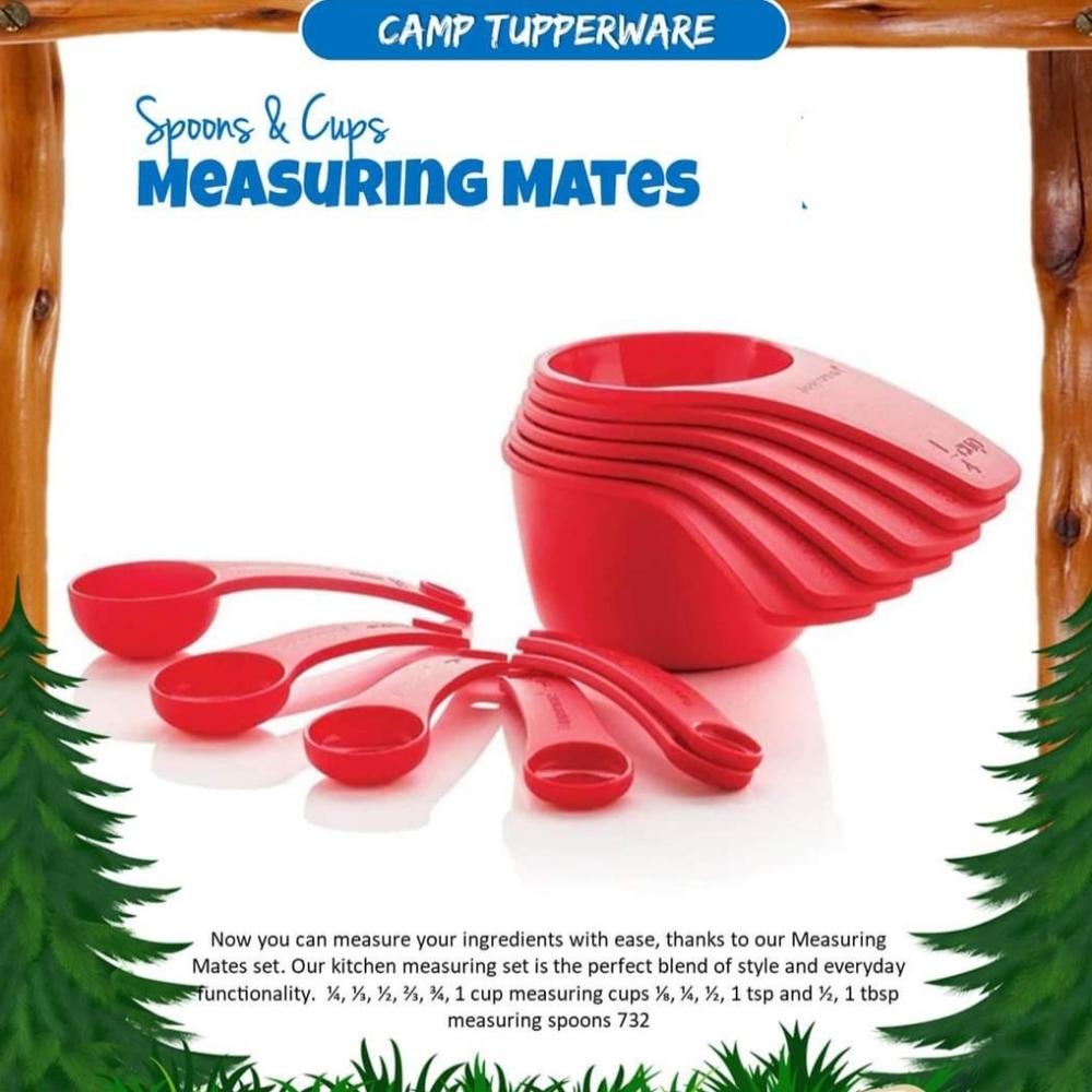 Tupperware measuring mates